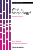 What is Morphology