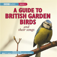 Guide To British Garden Birds