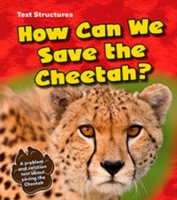 How Can We Save the Cheetah?