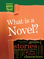 What is a Novel?