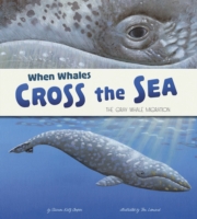 When Whales Cross the Sea