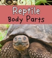 Reptile Body Parts