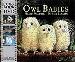 Owl Babies (book + DVD )