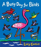 Busy Day for Birds