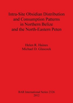 Intra-Site Obsidian Distribution and Consumption Patterns in Northern Belize and the North-Eastern Peten
