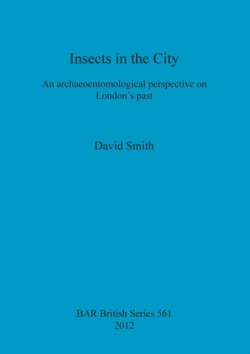 Insects in the City: An archaeoentomological perspective on London's past
