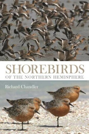 Shorebirds of Northern Hemisphere