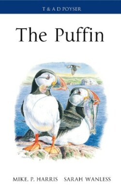 Puffin