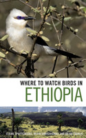 Where to Watch Birds in Ethiopia