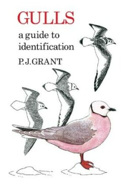 Gulls: A Guide to Identification. 2nd Edition