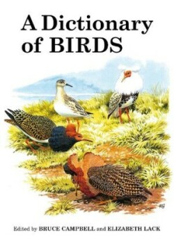 Dictionary of Birds