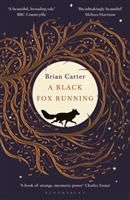 Black Fox Running