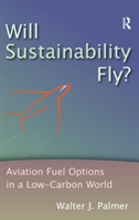 Will Sustainability Fly?