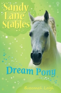 SANDY LANE DREAM PONY