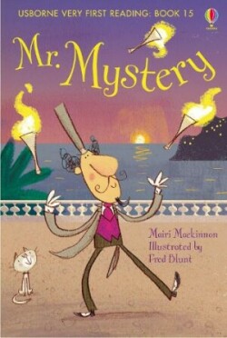 Usborne Very First Reading 15: Mr. Mystery