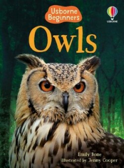 BEGINNERS OWLS