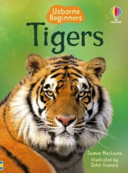 Usborne Beginners Tigers