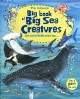 Big Book of Big Sea Creatures