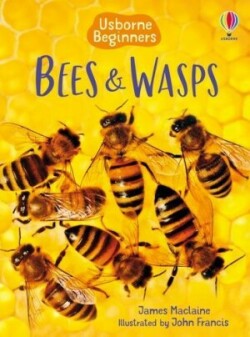 BEG BEES & WASPS