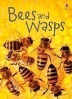 BEG BEES & WASPS