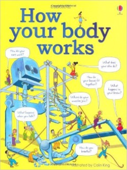 How Your Body Works