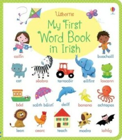 MY FIRST WORD BOOK IRISH