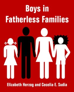 Boys in Fatherless Families