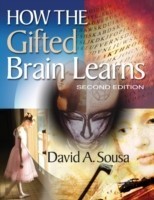 How Gifted Brain Learns