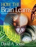 How Brain Learns