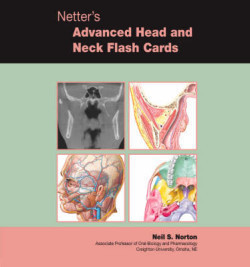 Netter´s Advanced Head and Neck Flash Cards