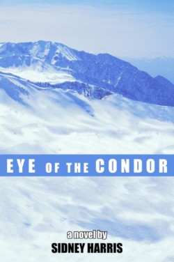 Eye of the Condor