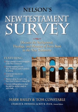 Nelson's New Testament Survey Discovering the Essence, Background and   Meaning About Every New Testament Book