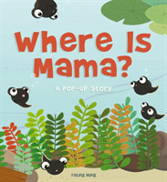 Where Is Mama?