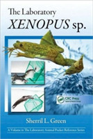 Laboratory Xenopus sp.