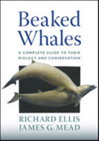 Beaked Whales A Complete Guide to Their Biology and Conservation