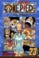 One Piece 23