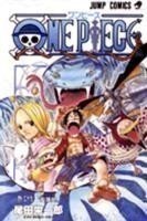 One Piece 29