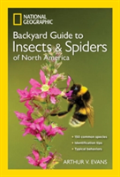 NG Guide to the Insects and Spiders of North America