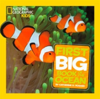 National Geographic Little Kids First Big  Book of the Ocean