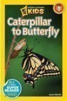 Marsh, Laura - National Geographic Kids Readers: Caterpillar to Butterfly