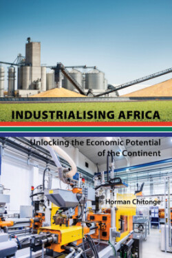 Industrialising Africa