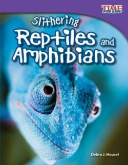 Slithering Reptiles and Amphibians