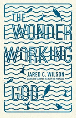 Wonder-Working God