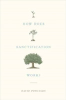 How Does Sanctification Work?