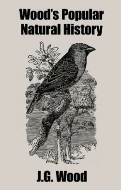 Wood's Popular Natural History