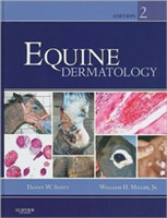 Equine Dermatology