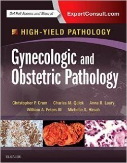 Gynecologic and Obstetric Pathology : A Volume in the High Yield Pathology Series