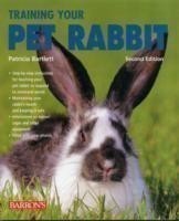 Training Your Pet Rabbit