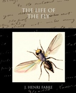 Life of the Fly