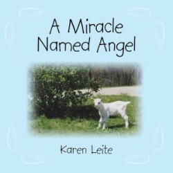 Miracle Named Angel